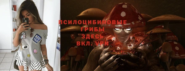 кокс Алексеевка