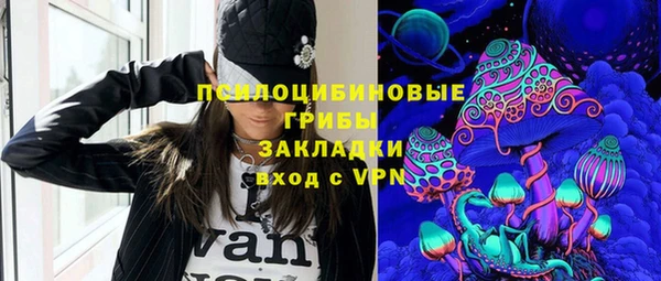 МДПВ Алзамай