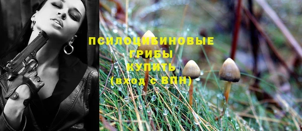 МДПВ Алзамай